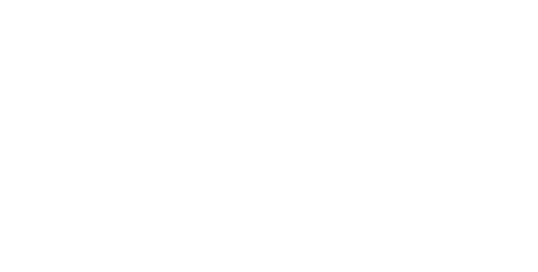 BOLD Architectural Windows and Doors